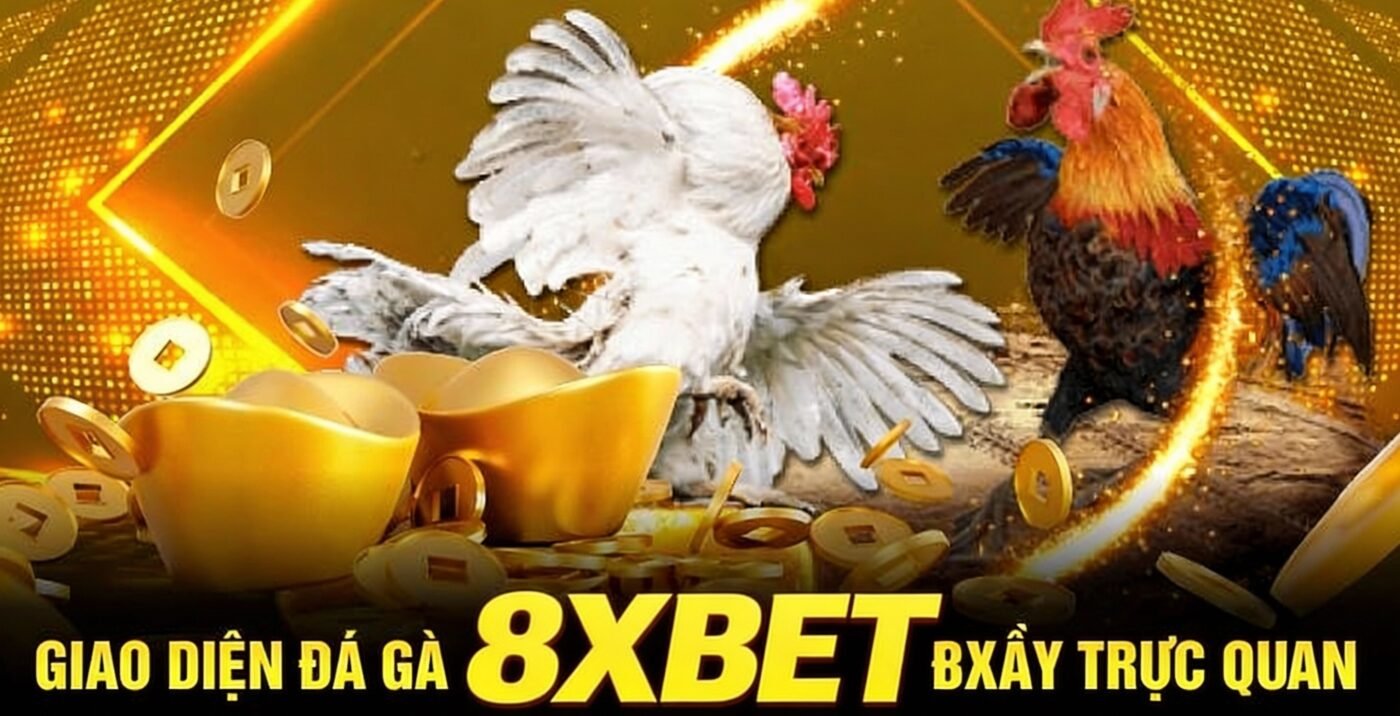 Giao diện đá gà cựa dao tại 8xbet đầy trực quan